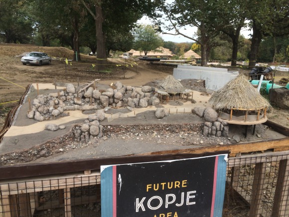 Future Kopje Area Model - African Grasslands, Henry Doorly Zoo Omaha Nebraska 