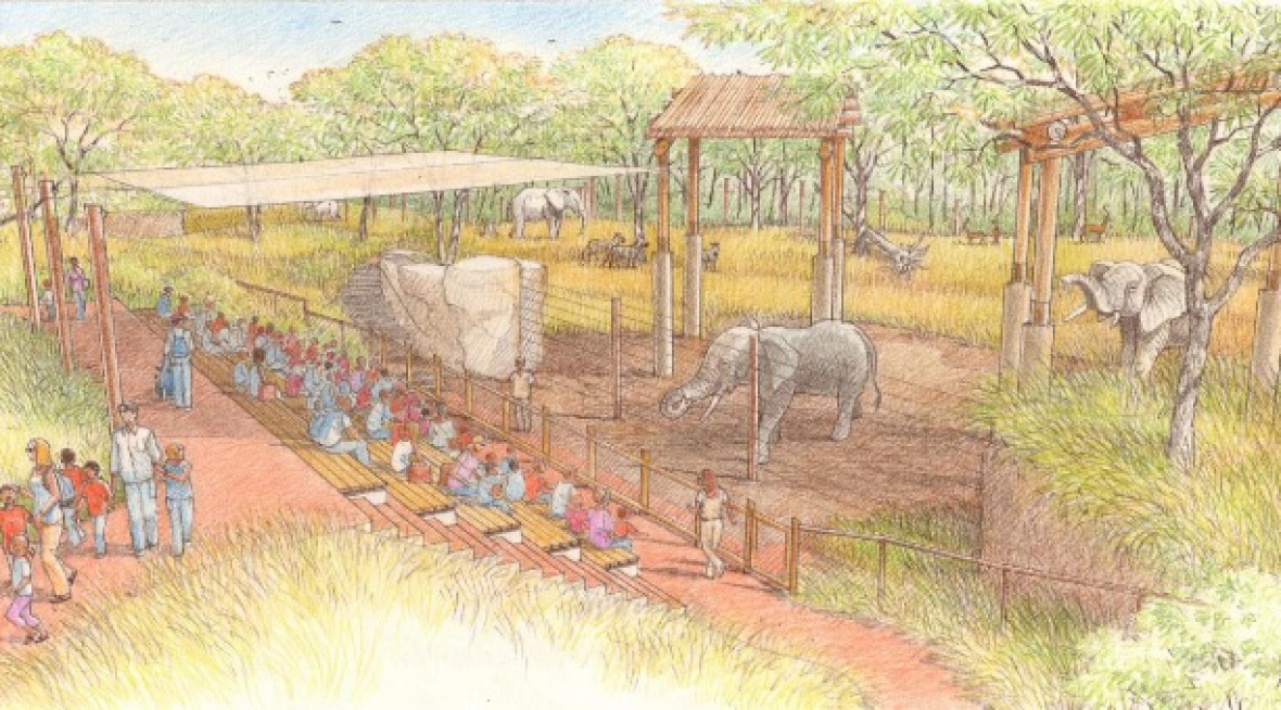 elephant demo area rendering